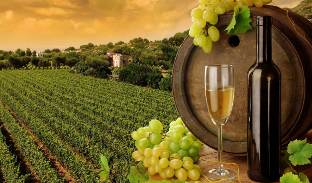 Aging and Storing Your Wine